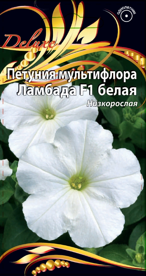 Петуния Ламбада белая 10 шт
Петуния Ламбада белая 10 шт