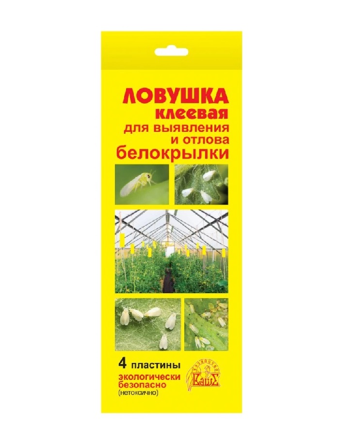 Ловушка клеевая от белокрылки (4 клеевых пластины )
Ловушка клеевая от белокрылки (4 клеевых пластины )
