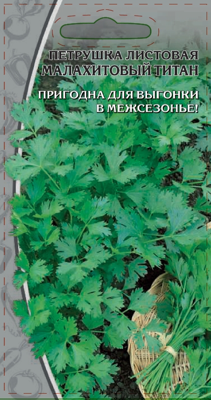 Петрушка листовая Малахитовый титан 2 гр цв.п.
Петрушка листовая Малахитовый титан 2 гр цв.п.