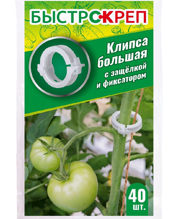 Клипса большая с защелкой и фиксатором, 40 шт
Клипса большая с защелкой и фиксатором, 40 шт