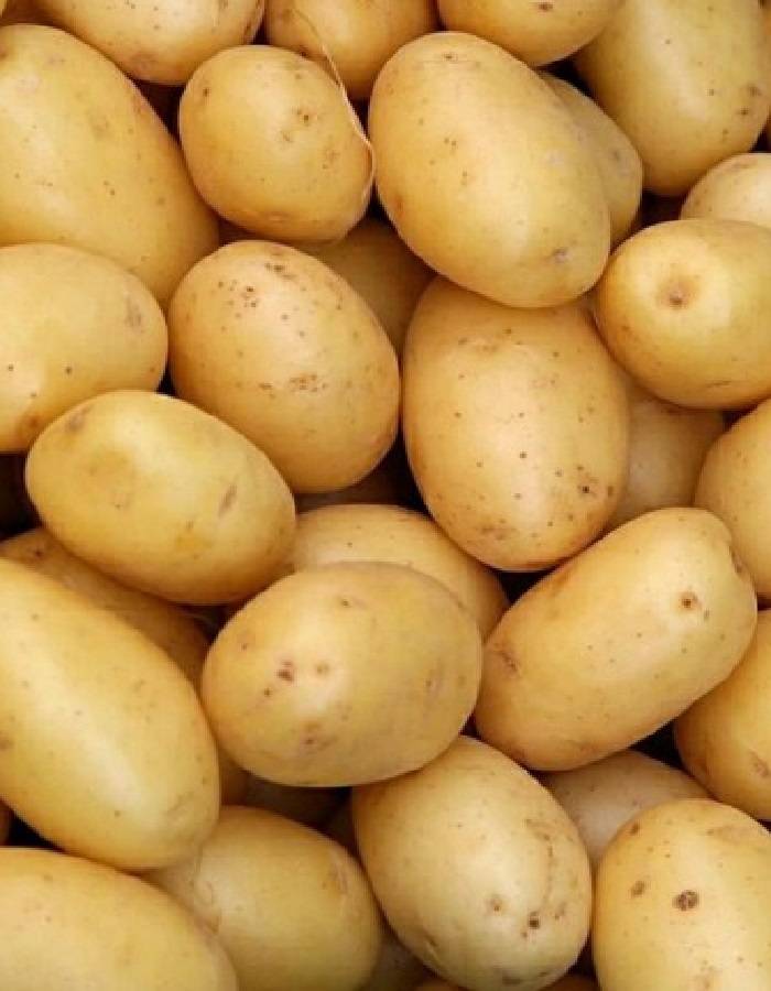 Картофель Краса Мещеры, суперэлита
Картофель Краса Мещеры, суперэлита