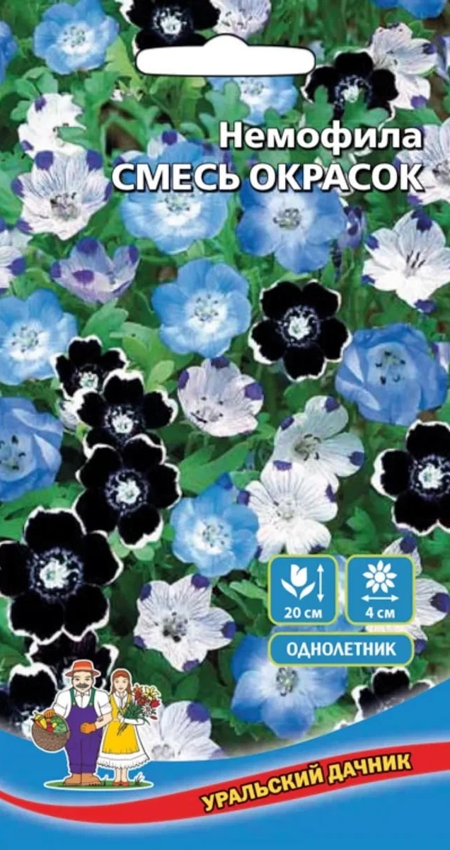 Немофила Смесь окрасок (УД) 0,15 гр цв п
Немофила Смесь окрасок (УД) 0,15 гр цв п