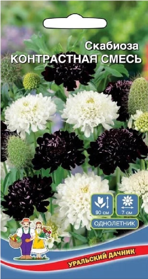 Скабиоза Контрастная смесь (УД) 0,2 гр
Скабиоза Контрастная смесь (УД) 0,2 гр