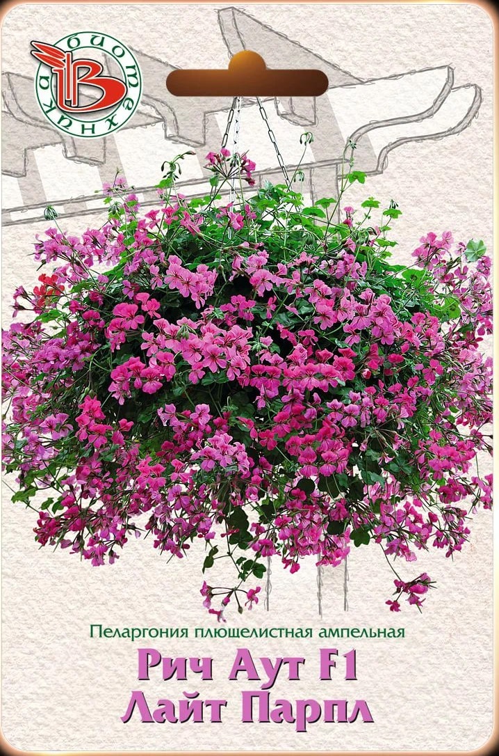 Пеларгония плющелистная ампельная Рич Аут F1 Лайт Парпл 5 шт
Пеларгония плющелистная ампельная Рич Аут F1 Лайт Парпл 5 шт