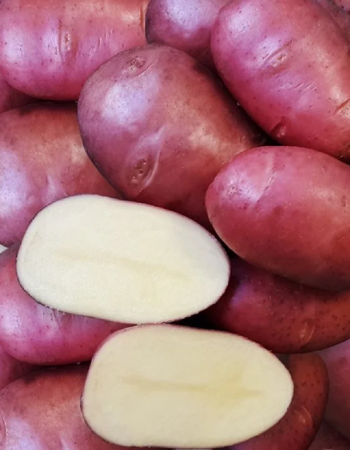 Картофель Тайфун, суперэлита 2 кг
Картофель Тайфун, суперэлита 2 кг