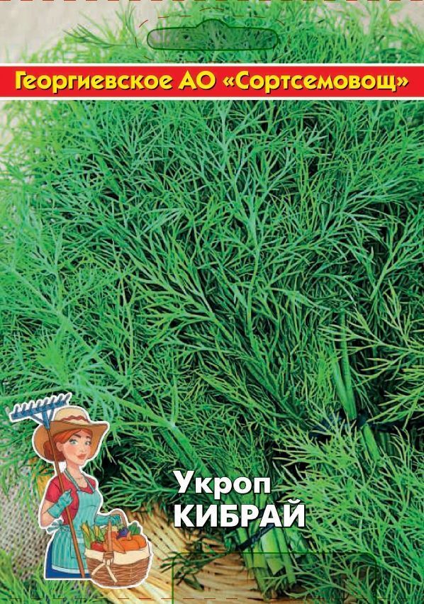 Укроп Кибрай 10 гр цв.п (Сортсемовощ)
Укроп Кибрай 10 гр цв.п (Сортсемовощ)