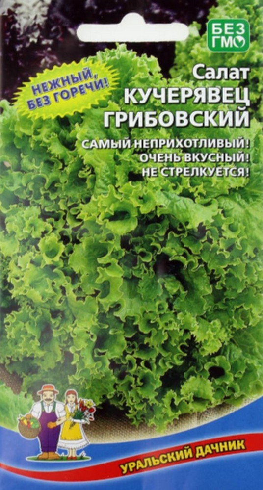 Салат Кучерявец Грибовский (УД) 0,25 гр цв.п
Салат Кучерявец Грибовский (УД) 0,25 гр цв.п