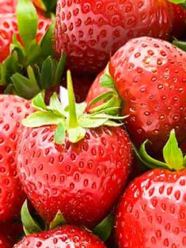 Саженцы земляники семена купить | Интернет магазин семян овощей ...