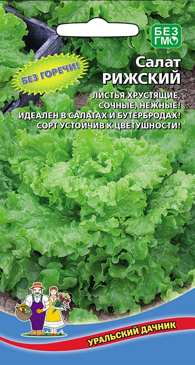 Салат Рижский (УД) 0,25 гр цв.п
Салат Рижский (УД) 0,25 гр цв.п
