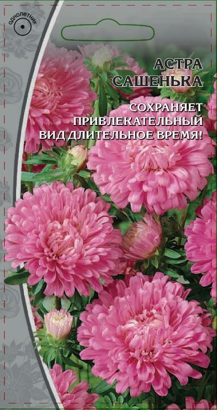 Астра обильноцветущая Сашенька 0,2 гр
Астра обильноцветущая Сашенька 0,2 гр