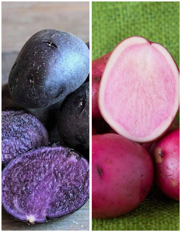 Набор "Экзотика" 2 сорта (2 кг)
Набор "Экзотика" 2 сорта (2 кг)