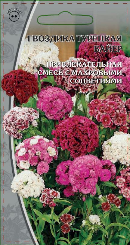 Гвоздика турецкая Байер 0,5 гр
Гвоздика турецкая Байер 0,5 гр