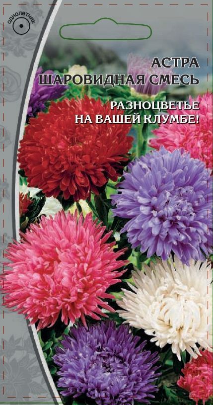 Астра однолетняя Шаровидная смесь 0,2 гр
Астра однолетняя Шаровидная смесь 0,2 гр