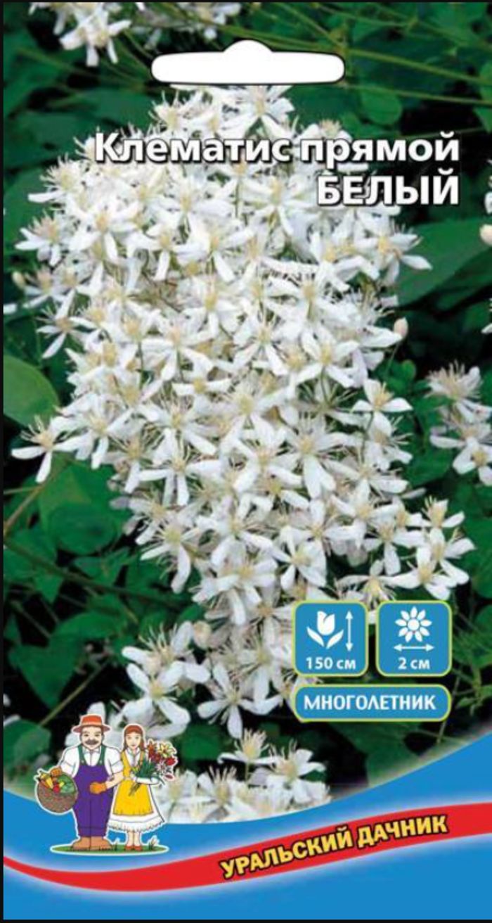 Клематис прямой Белый (УД) 12 шт цв п
Клематис прямой Белый (УД) 12 шт цв п