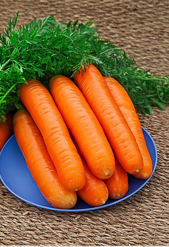 Морковь Нантская 4 (Гранулы) 300 шт