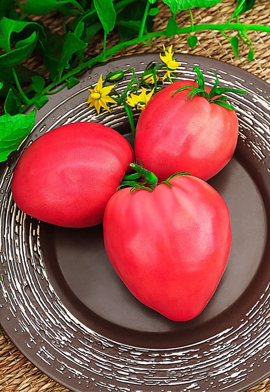 Томат Бычье сердце малиновое 0,1 г цв.п (Солнечный десант)