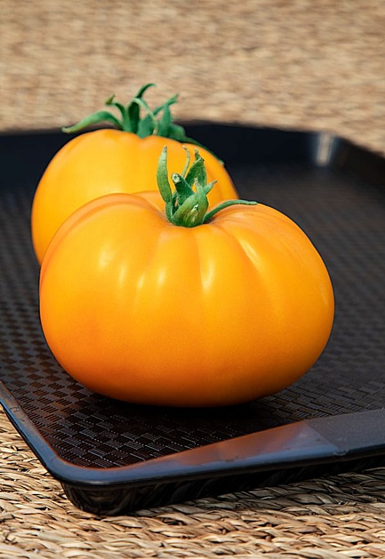 Томат Томанго (Селекция "ВХ") 0,05 г цв/п