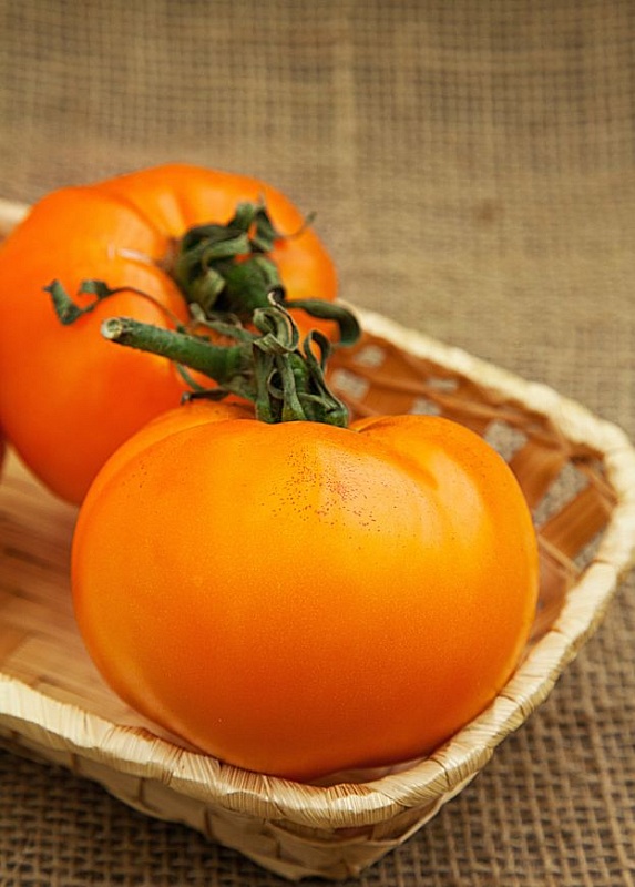 Томат Хурма 0,05 гр цв.п