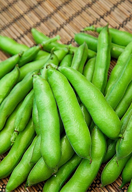 Бобы Русские черные овощные 5 гр цв.п.