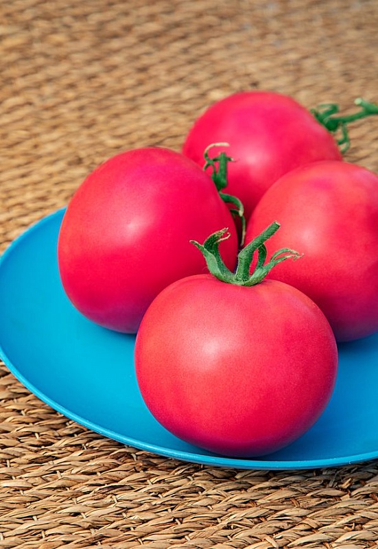 Томат Малиновый звон F1 0,03 гр цв.п 