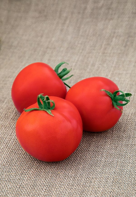 Томат Ямал 200 0,05 гр цв.п. (Сибирская серия)