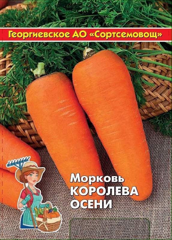 Морковь Королева осени 10 гр цв.п (Сортсемовощ)