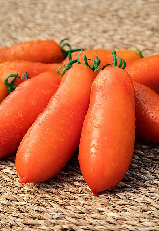 Томат Ялик (Селекция "ВХ") 0,05 гр цв.п