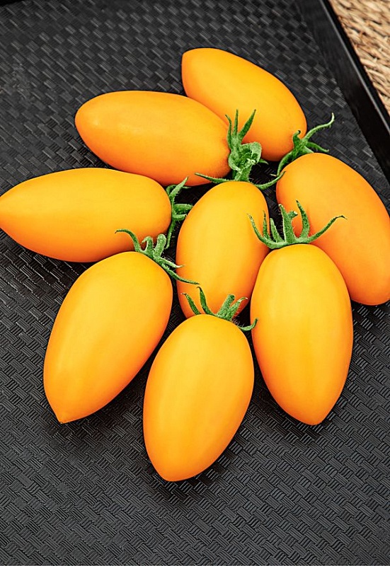 Томат Золотое руно 0,05 гр цв.п 