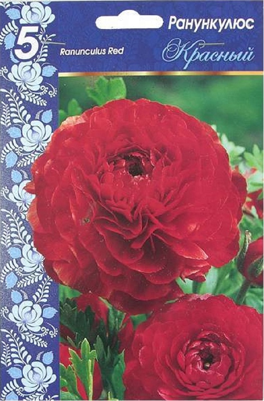 Ранункулюс Красный 1 уп. (5 шт.)