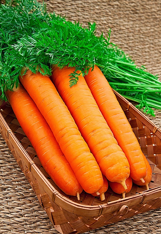 Морковь Самсон 0,5 гр б.п.