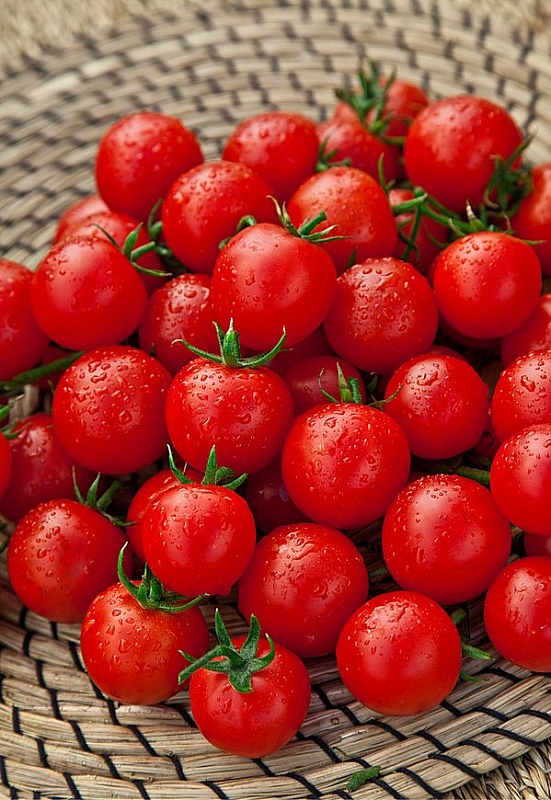 Томат Для внучат (Селекция "ВХ") F1 0,03 гр цв.п