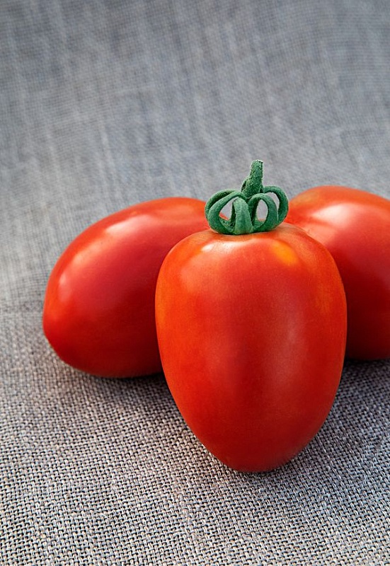 Томат Лорд 0,05 г цв.п (Сибирская серия)