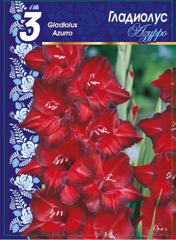Гладиолус Азурро 1 уп. (3 шт.).