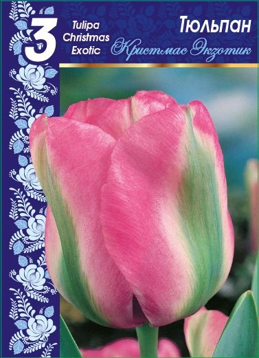 Тюльпан Кристмас Экзотик 1 уп. (3шт.) 