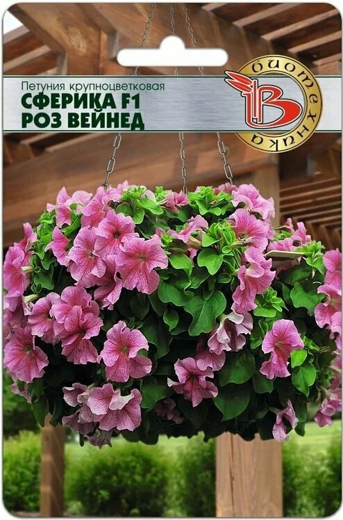 Петуния Сферика F1 Роз Вейнед 10 шт 