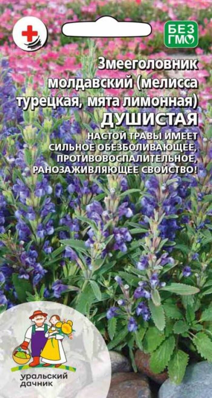 

Змееголовник молдавский (мелисса турецкая, мята лимонная) Душистая (УД) 0,2 гр