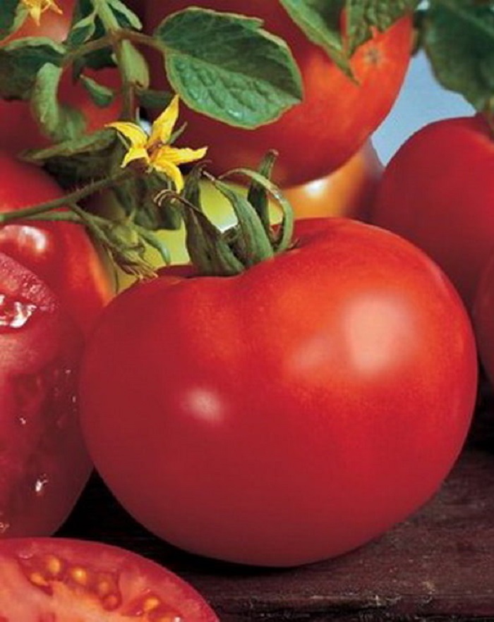 Томат Волверин F1 (Syngenta) 10шт. цв.п. семена томат шеди леди f1 10шт