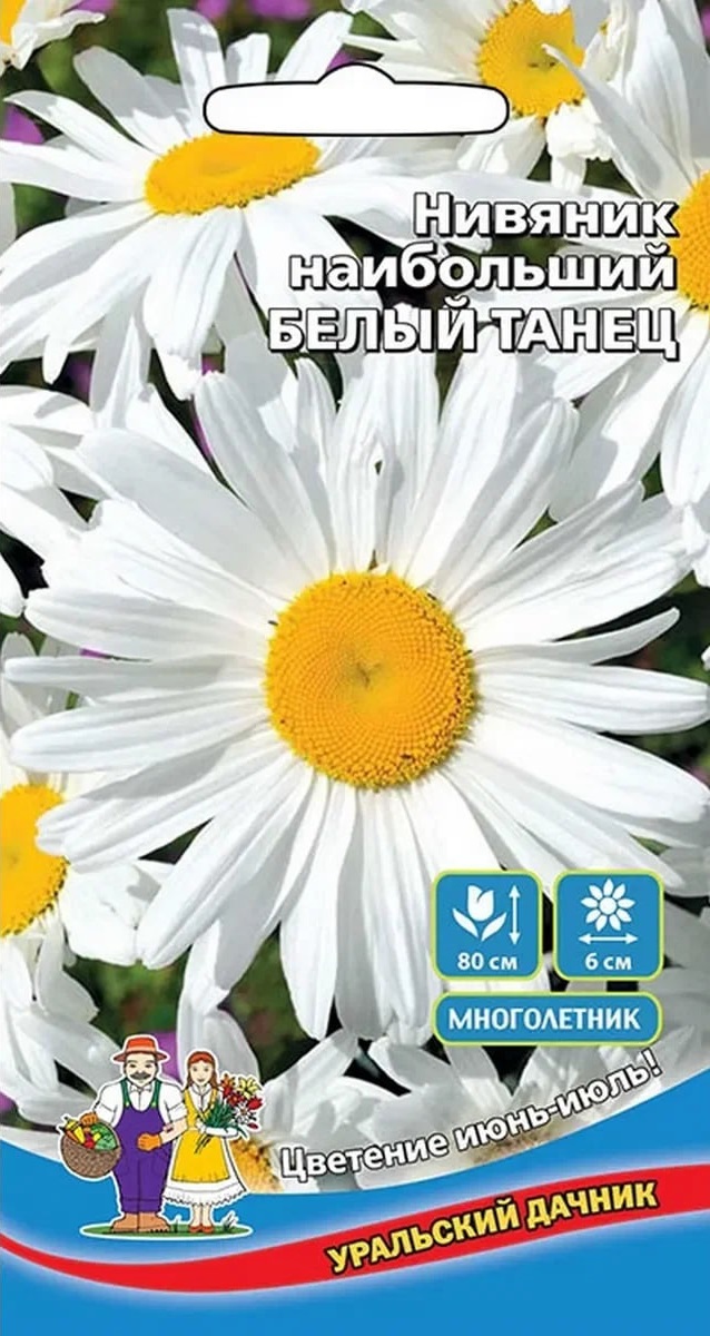 

Нивяник наибольший Белый танец (УД) 0,15 гр цв п