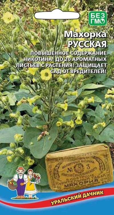 Махорка Русская (УД) цв.п 0,05 гр