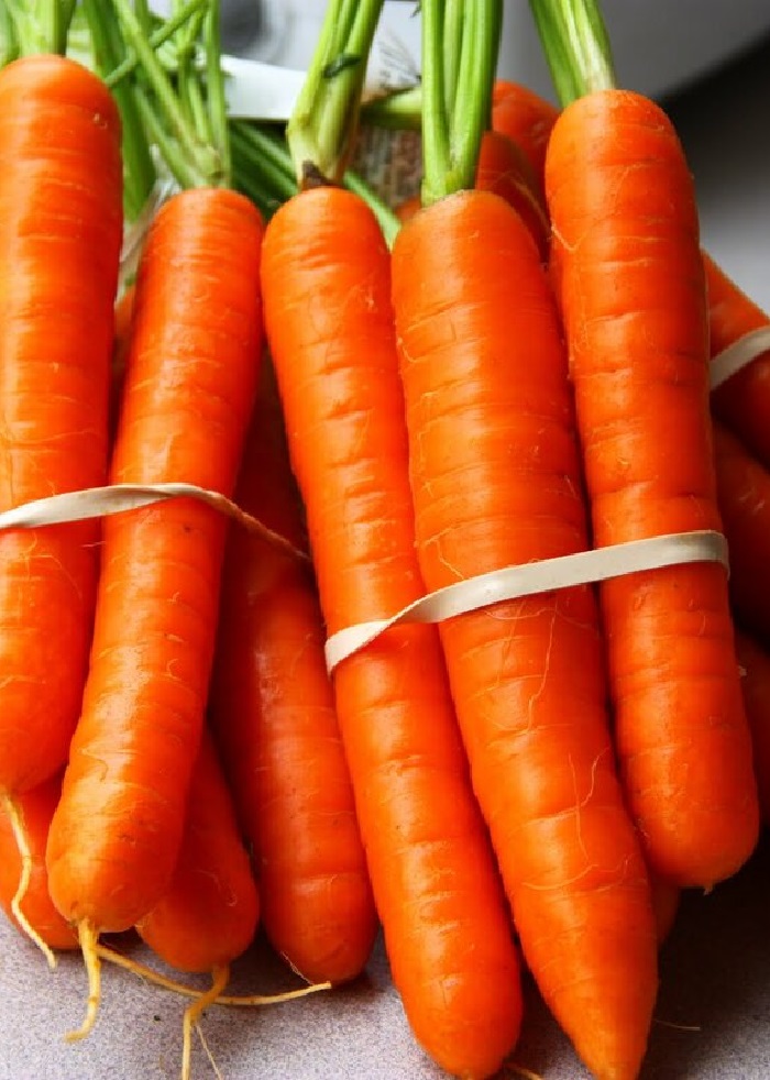 Морковь Тушон (УД) 2 гр цв.п. семена морковь тушон гавриш