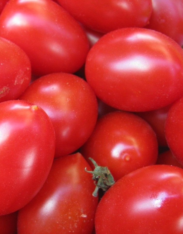 Томат Слива Красная (УД) 20 шт цв.п семена томат красная груша 5 шт