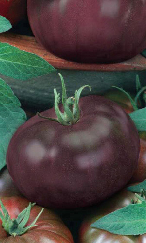 Томат Жженый сахар (Карамель) 20 шт (УД) цв.п