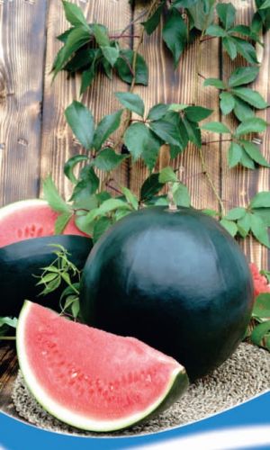 Арбуз Черная магия (УД) 10 шт цв п 