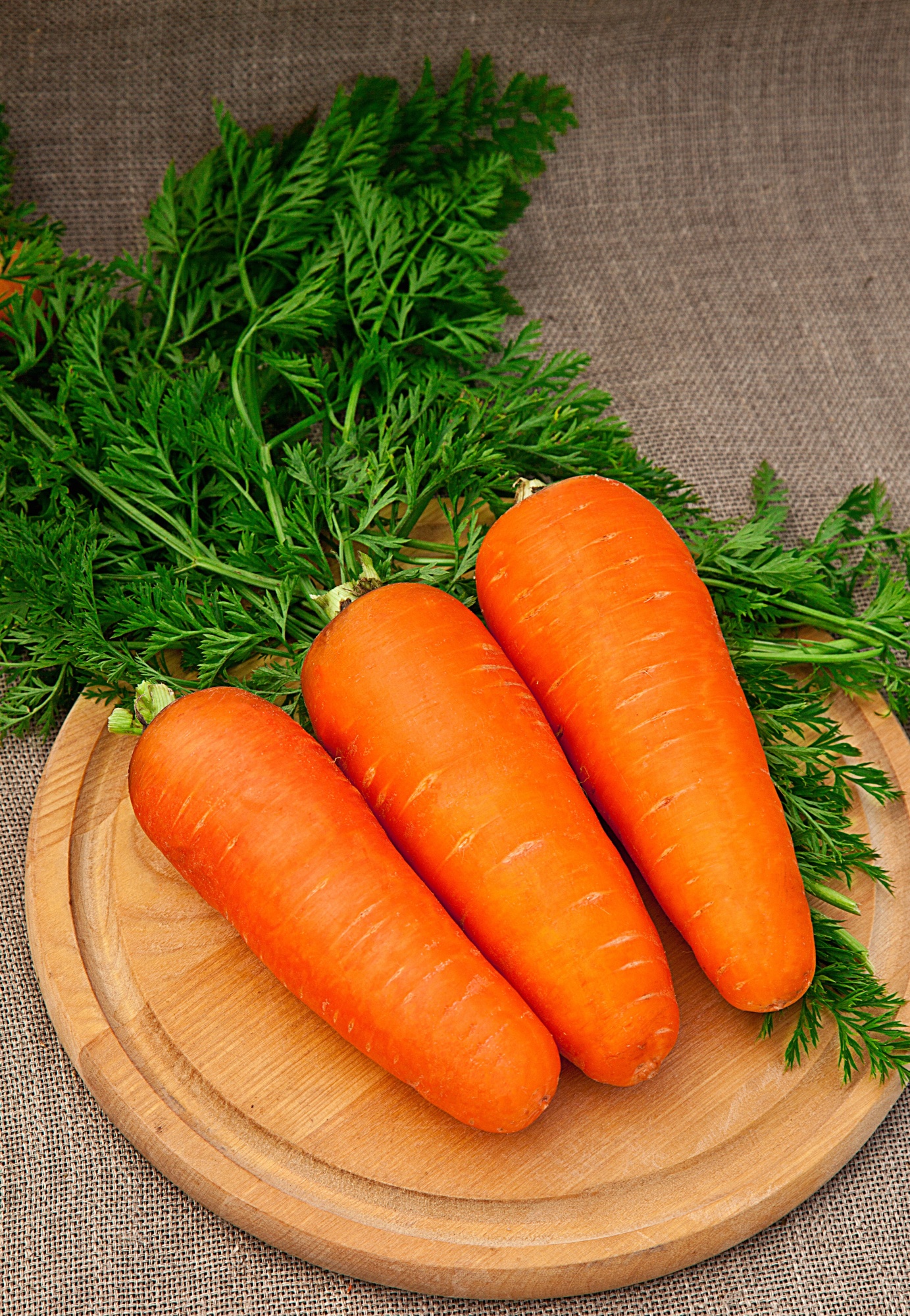 Морковь Королева осени (Гранулы) 300 шт морковь витаминная 6 гранулы 300 шт