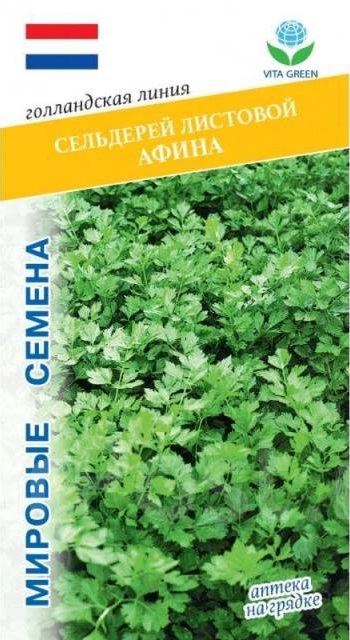 Сельдерей листовой Афина (Bejo Zaden) 0,5 гр цв.п