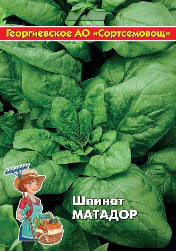 Шпинат Матадор 10 гр цв.п (Сортсемовощ)