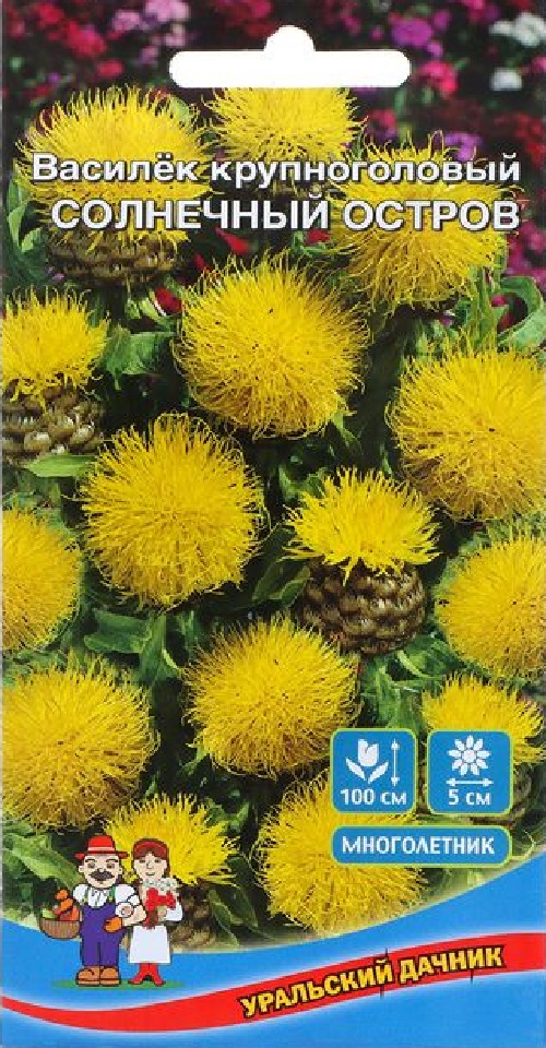 

Василек Солнечный остров (УД) 0,15 гр. цв.п