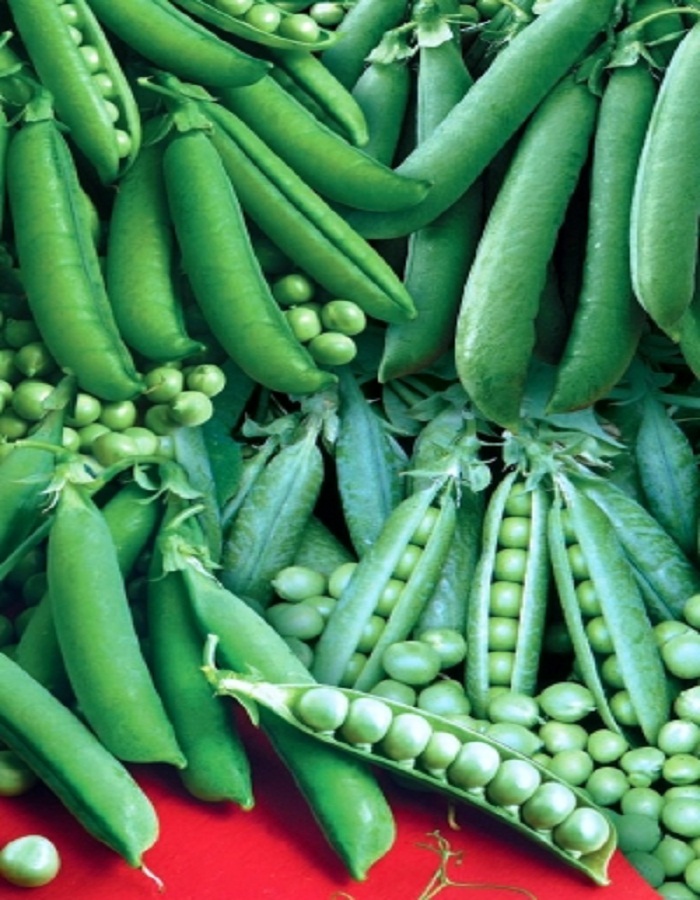 

Горох Сахарный деликатес - смесь сладких сортов (УД) 10 гр цв.п.