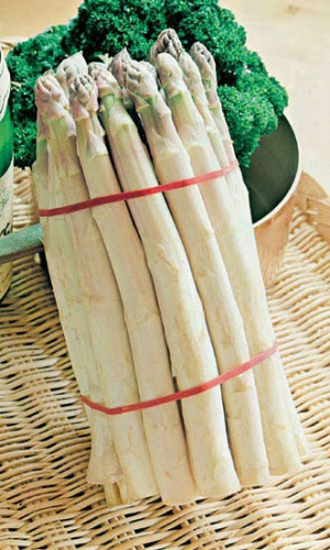 Спаржа Аржентельская (УД) 10 шт