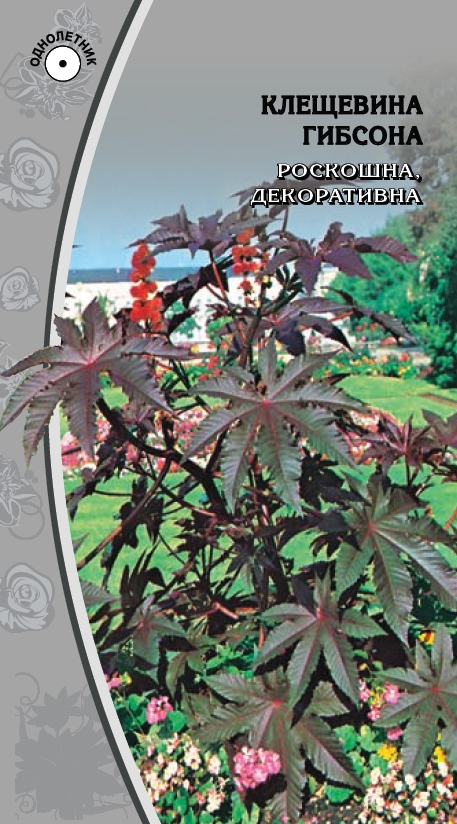 Клещевина Гибсона  1 гр